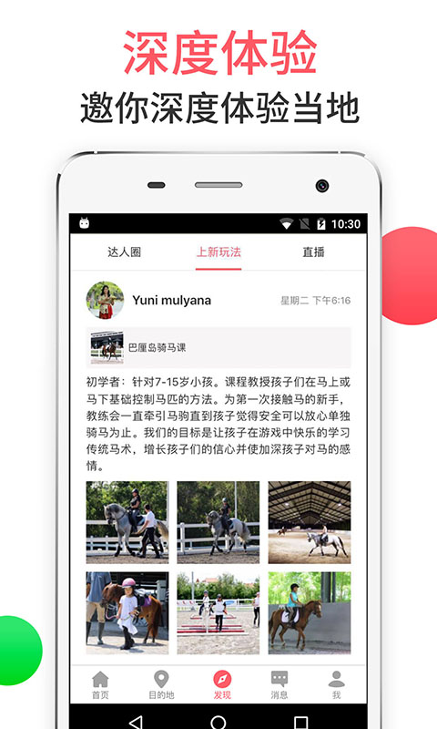 8只小猪 截图 4