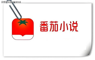 番茄免费小说官方版/最新版/安卓版/无广告听书版版本合集下载