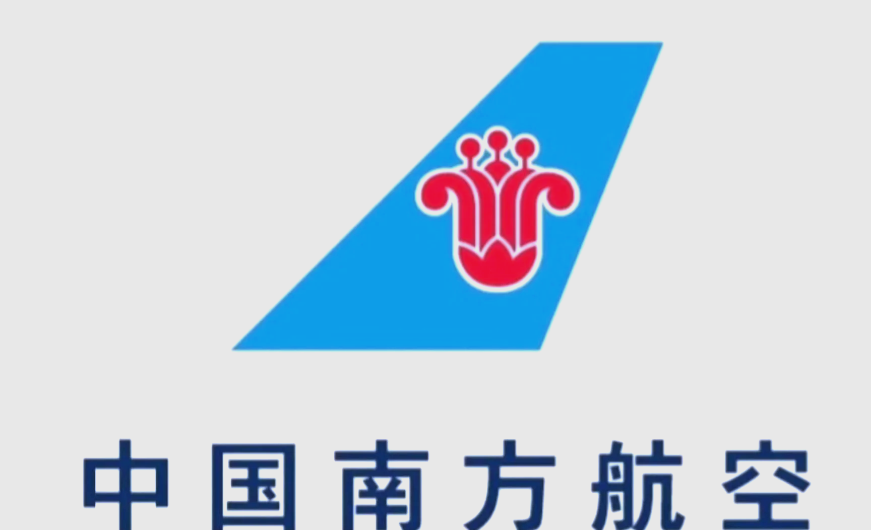 南方航空官方版/最新版/安卓版/国际版合集 机票查询值机订票选座