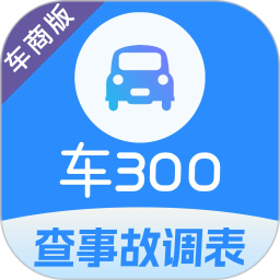 车300专业版 图标