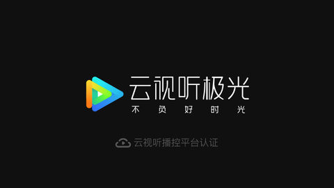 极视云所有版本大全